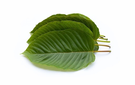 Green kratom leaves displayed on a white background, commonly associated with kratom and 7-OH products.